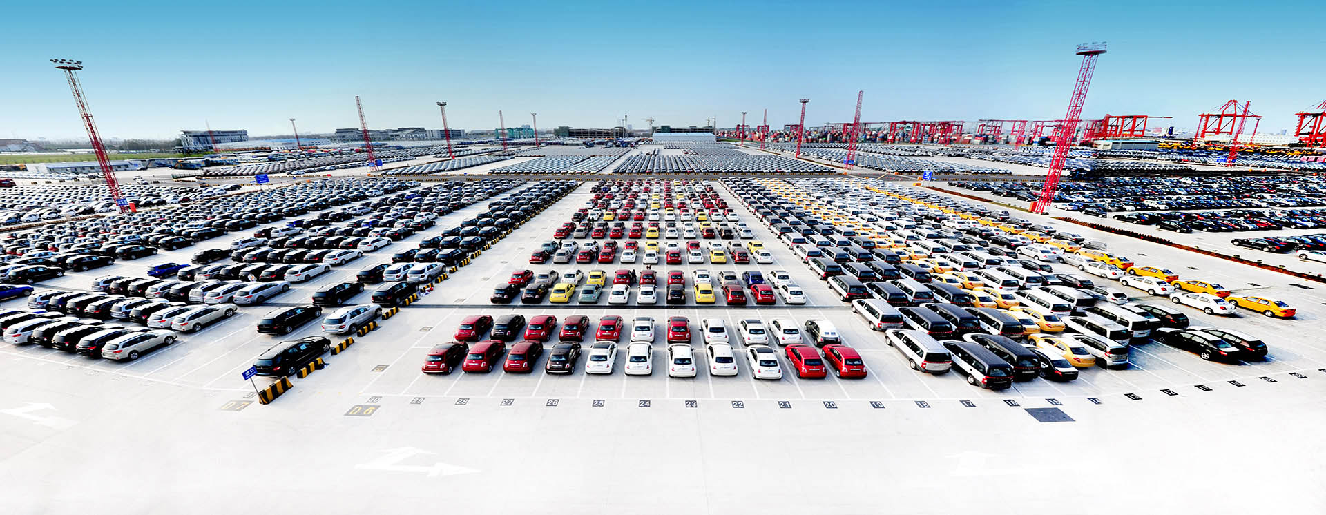 MS - ��ʨ����ᡤ�ٷ�(�й�)