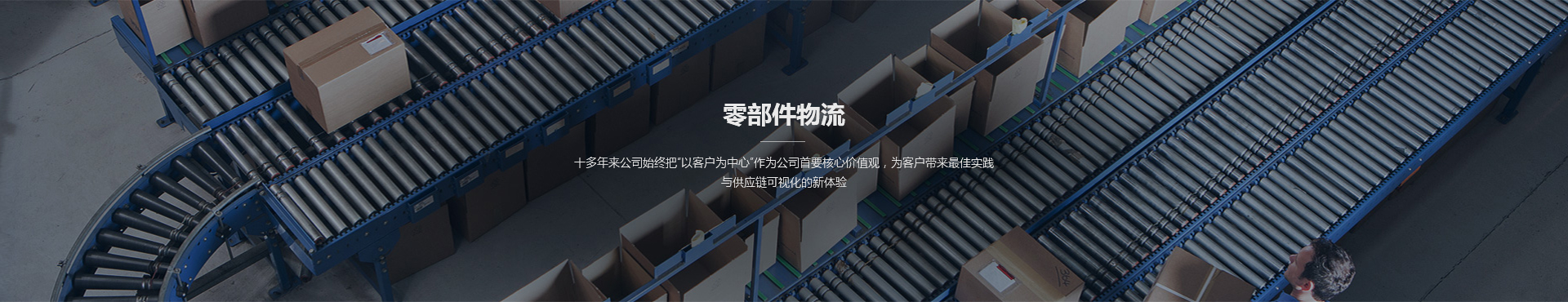 MS - ��ʨ����ᡤ�ٷ�(�й�)