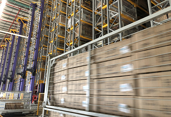 MS - ��ʨ����ᡤ�ٷ�(�й�)