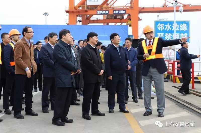 MS - ��ʨ����ᡤ�ٷ�(�й�)