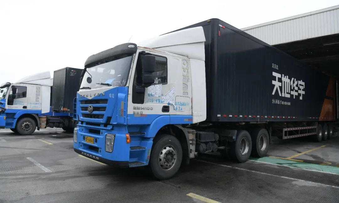 MS - ��ʨ����ᡤ�ٷ�(�й�)