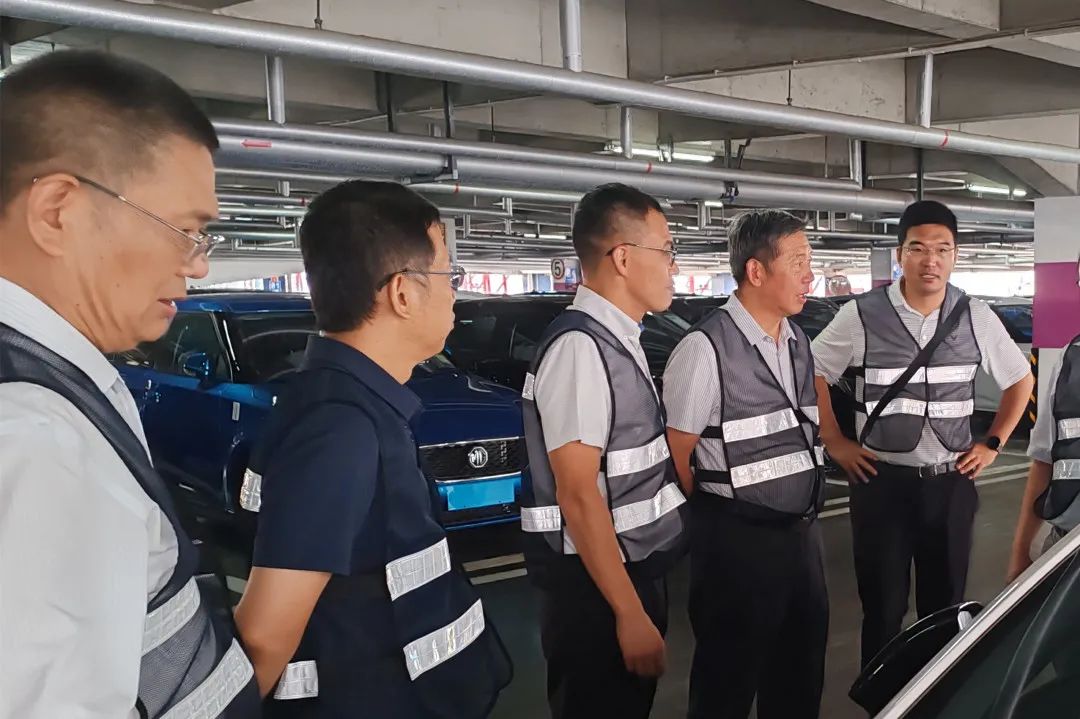 MS - ��ʨ����ᡤ�ٷ�(�й�)