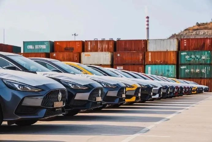 MS - ��ʨ����ᡤ�ٷ�(�й�)