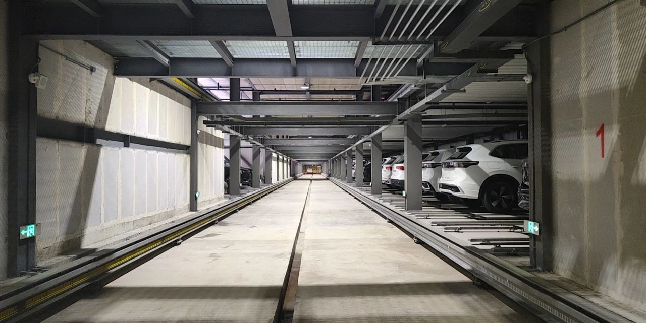 MS - ��ʨ����ᡤ�ٷ�(�й�)