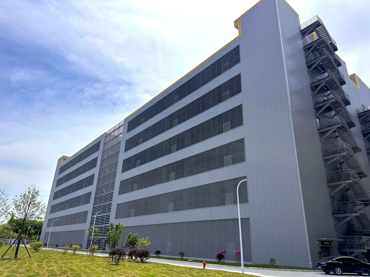 MS - ��ʨ����ᡤ�ٷ�(�й�)