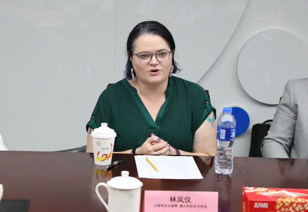 MS - ��ʨ����ᡤ�ٷ�(�й�)