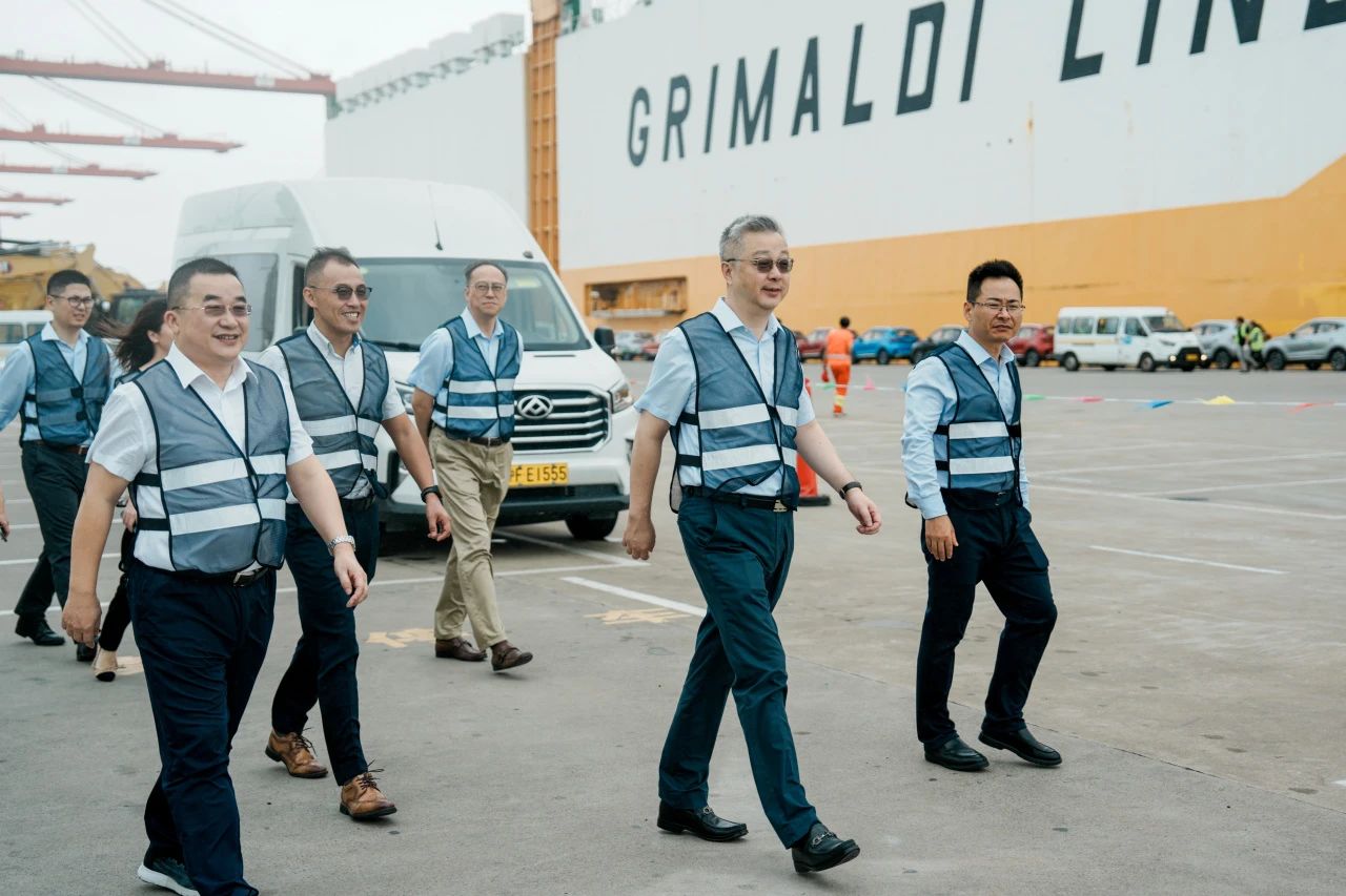 MS - ��ʨ����ᡤ�ٷ�(�й�)