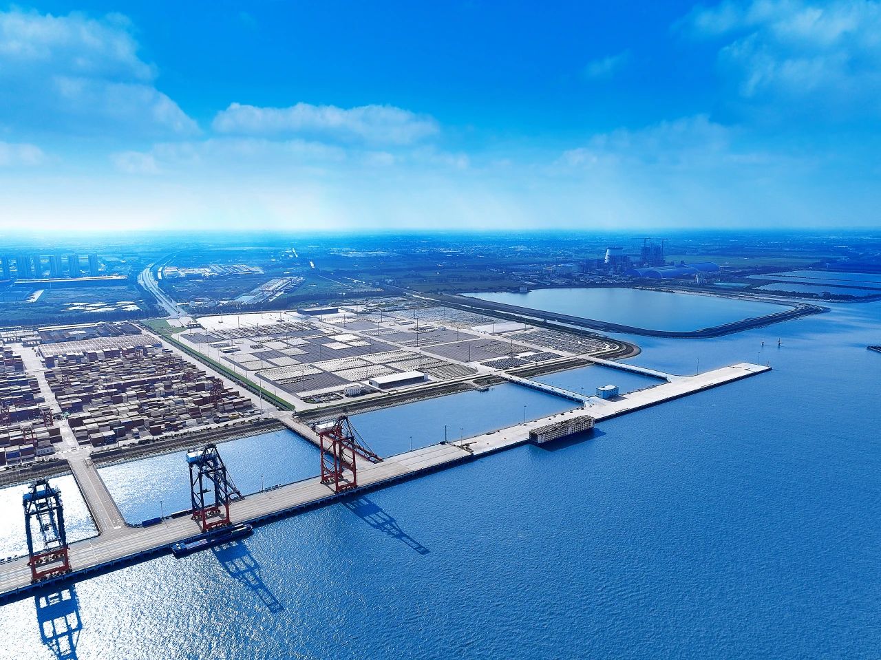 MS - ��ʨ����ᡤ�ٷ�(�й�)