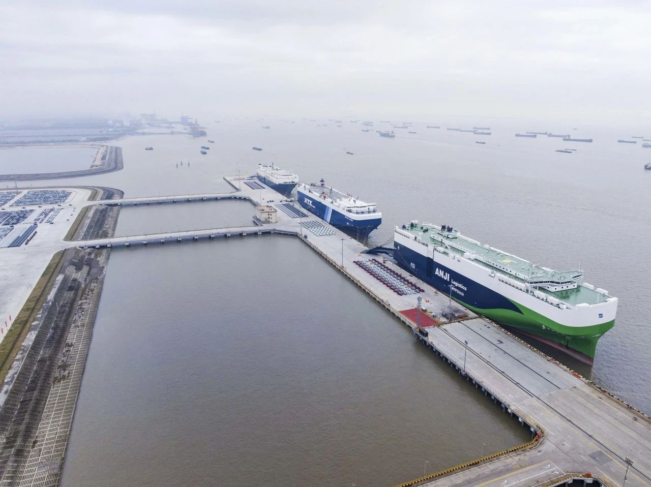 MS - ��ʨ����ᡤ�ٷ�(�й�)