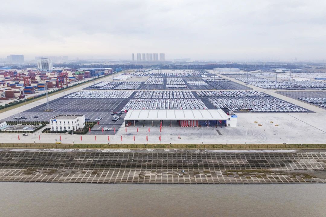 MS - ��ʨ����ᡤ�ٷ�(�й�)