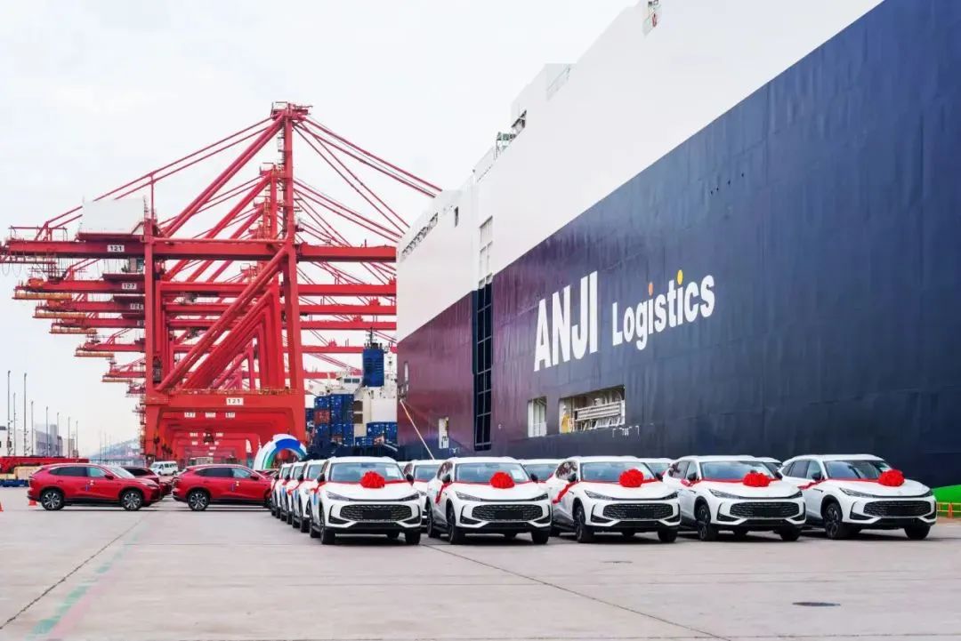 MS - ��ʨ����ᡤ�ٷ�(�й�)