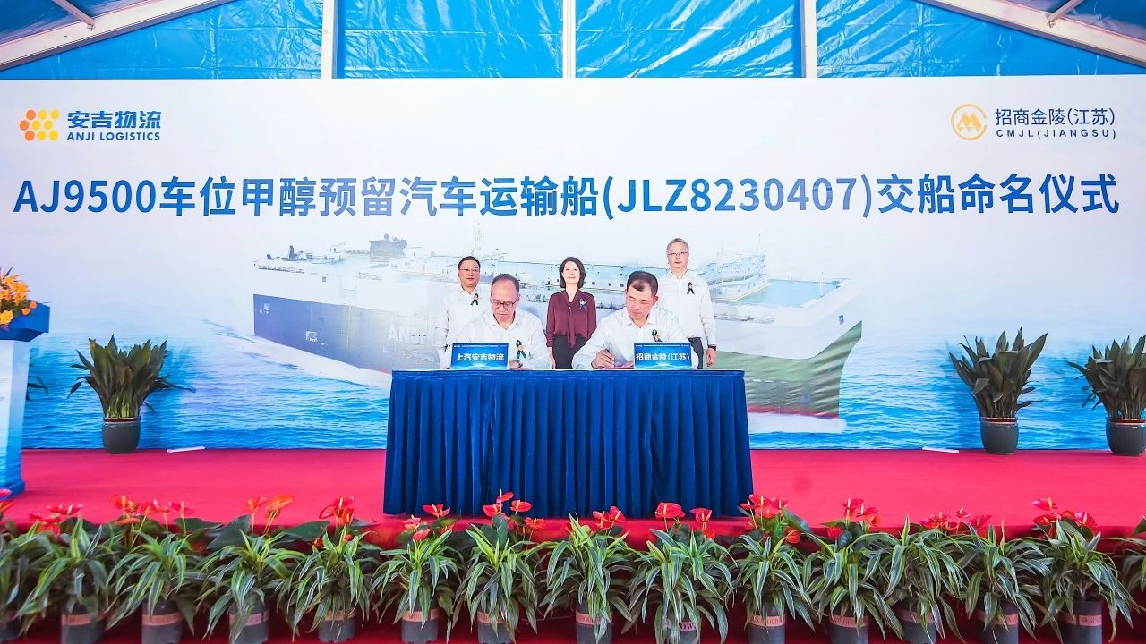 MS - ��ʨ����ᡤ�ٷ�(�й�)